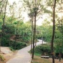 영인면 아산온천로 이미지