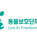 대구24시라이프동물의료센터 이미지