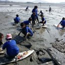 거차뻘배체험장 이미지