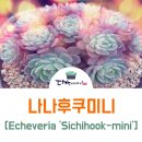 나나유통 이미지