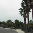 석림원 Daum카페
