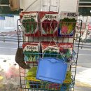 화비꽃방 | [내돈내산] 월계 광운대 꽃집 추천 “화비꽃방“ :D