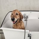 청담 고운 피부과 동물병원 이미지