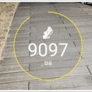 코엔자임 Q10 먹는시간 혈압 낮추는 법 관리 후기는?
