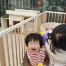 하준농장 이미지