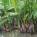 베트남어기초(야) 이미지