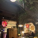 청담-140 | 청담 고요 디너코스 가격·콜키지 가능! 구 뱀파이어 위켄드 자리 리뉴얼 양식 와인바 후기