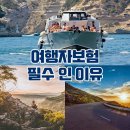 여행자보험 들어야하는 후기 여행자보험 도난 분실시 보상
