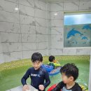 더블스테이쁘띠로키즈풀빌라A동 | 가평 키즈풀빌라 ( 더블스테이 쁘띠로키즈풀빌라 ) -가성비 좋은 키즈풀빌라/아이들과 즐거운 1박하고...