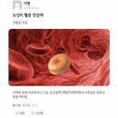 도넛스토리 이미지