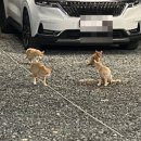 정각산 벨리 이미지