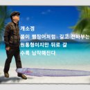 물고기의 사랑과 생애(개소겡) 이미지