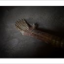 영신정미소 이미지