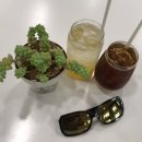 도도솝