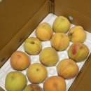 광인농장 이미지