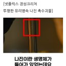 경성크리처 괴물의정체?(뻥로나뻥신) 이미지