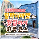 광안리 데이트코스 추천 | 밀락더마켓부터 횟집까지 하루 코스