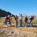 진도울돌목주말장터 이미지