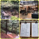 남진물놀이장 | [천안 힐링 카페 / 더쉘터] 힐링과 감성을 충전하러 가다.