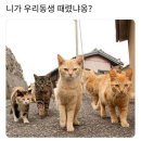 출장강습 이미지
