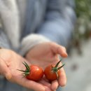 마마푸드 이미지