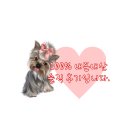 두꺼비네집 이미지