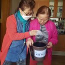 반려식물키우기 이미지