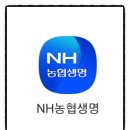 강릉농협 구정지점 이미지