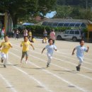 지제초등학교 이미지