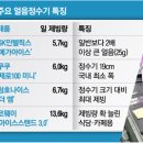 향이얼음