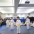 서래태권도 이미지