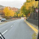 남산9길 25, (교현동) | 11월 두번째 가을로 물든 덕수궁은 예뻤다