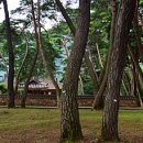 단종 어수정 이미지