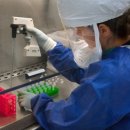 정희축사 이미지