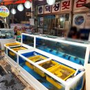 마산초장 이미지