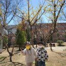 해린어린이집 이미지