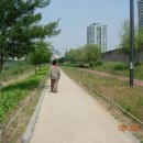도림천 이미지