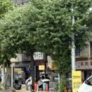 용산-269 | 서울용산 : 웨이팅이 필수라는 &#34;굴다리소곱창&#34;ㅣ금요일웨이팅ㅣ솔직아쉬운후기