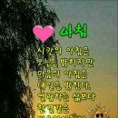 1393 Daum카페