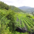 지리산 산청.금서면 .계획관리 답 ..공동구매의사및 고수님 조언부탁 이미지