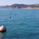 완도친환경수산물협동조합