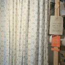 망치네식탁 | 강릉 레드망치 1·2호점 투어 후기