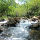 사계절 민물 이미지