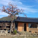 촌캉스독채외갓집 이미지