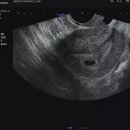 이룸산부인과의원 이미지