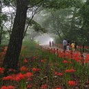 필봉산길 이미지