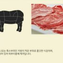 참뽈살 이미지