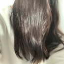 햇빛카클리닉 이미지