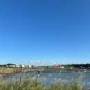 백화펜션 | 대부도 가족펜션, 단체 풀빌라 콤마 내돈내산 후기