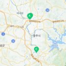 안암입구 솔밭 이미지